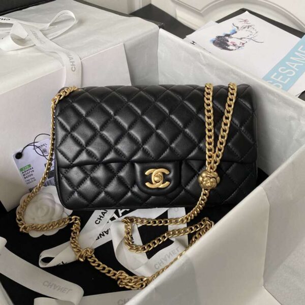 CHANEL シャネル レディースバッグ  SIZE:23.5x14.5x7cm