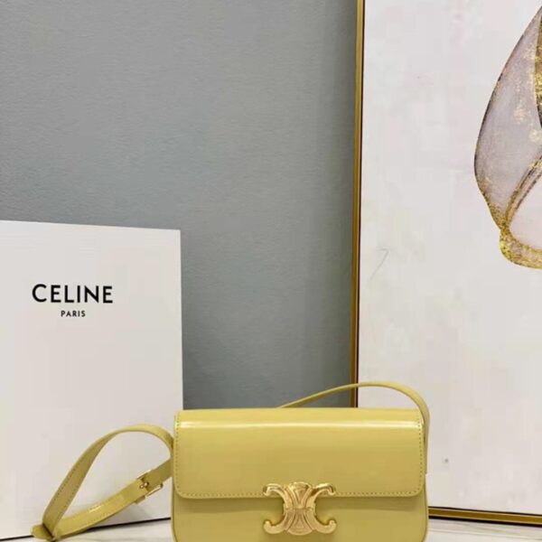 CELINE セリーヌ レディースバッグ  SIZE:20x10x4cm