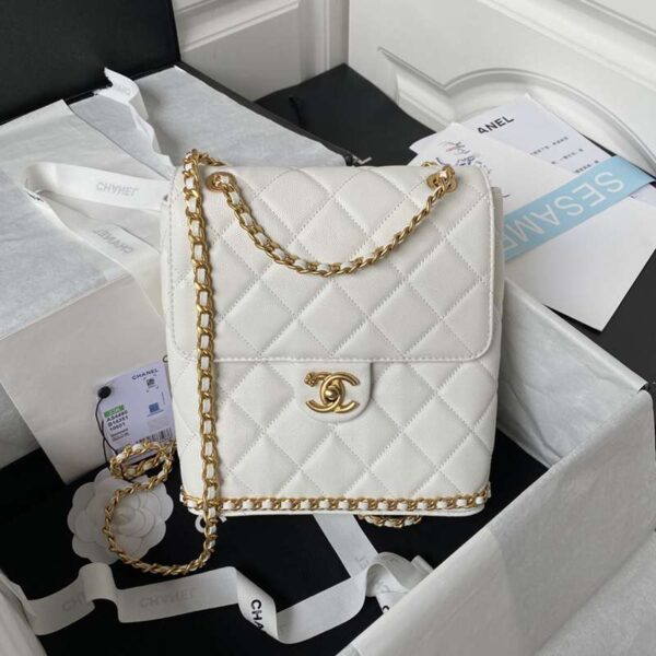 CHANEL シャネル レディースバッグ  SIZE:22x21x9cm