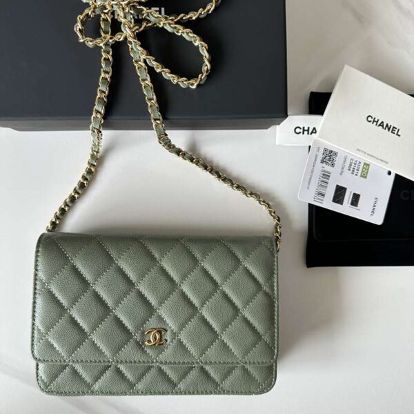 CHANEL シャネル レディースバッグ  SIZE:19X12X3cm