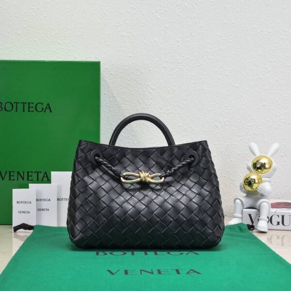 Bottega Veneta バッグ ボッテガ ヴェネタ レディースバッグ  SIZE:25x19x10.5cm