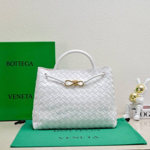 Bottega Veneta バッグ ボッテガ ヴェネタ レディースバッグ  SIZE:32x24x12cm