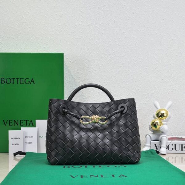 Bottega Veneta バッグ ボッテガ ヴェネタ レディースバッグ  SIZE:25x19x10.5cm