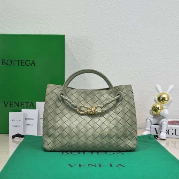 Bottega Veneta バッグ ボッテガ ヴェネタ レディースバッグ  SIZE:25x19x10.5cm