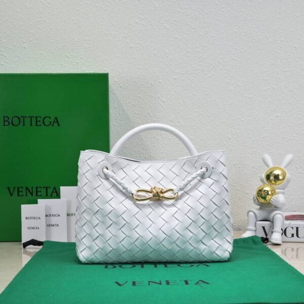 Bottega Veneta バッグ ボッテガ ヴェネタ レディースバッグ  SIZE:25x19x10.5cm