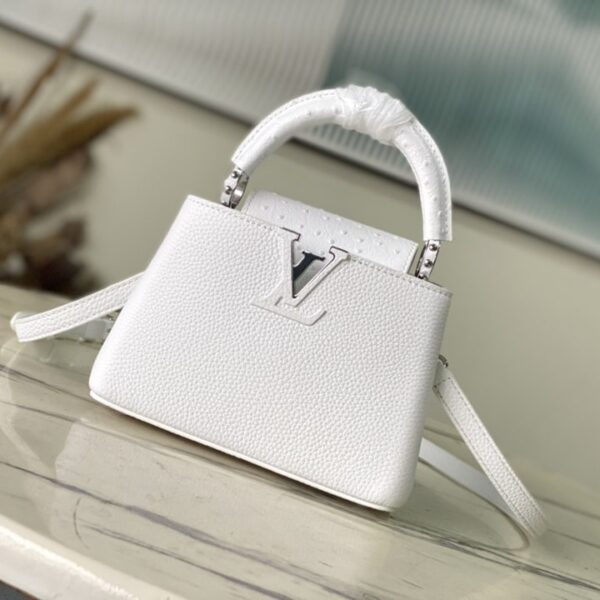 Louis Vuitton ルイヴィトン レディースバッグ  SIZE:21x14x8cm