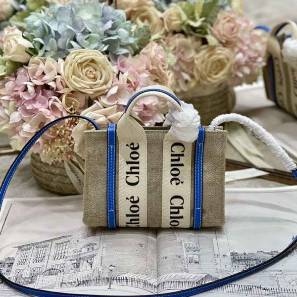 Chloe クロエ レディースバッグ  SIZE:20x14x4cm