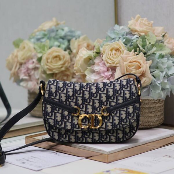 Dior ディオール レディースバッグ  SIZE:24x15x6cm