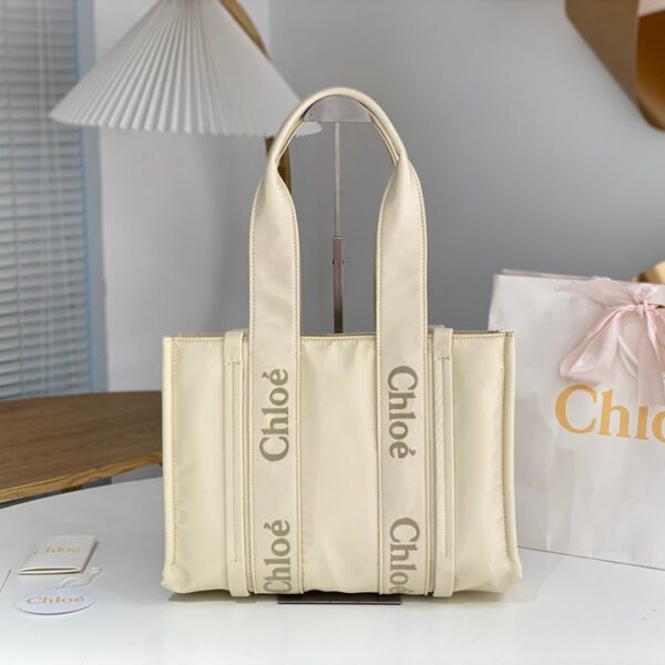 Chloe クロエ レディースバッグ  SIZE:26.5x20x8cm