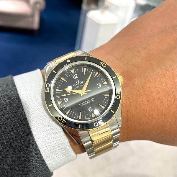 シーマスター300 マスターコーアクシャル 233.20.41.21.01.002